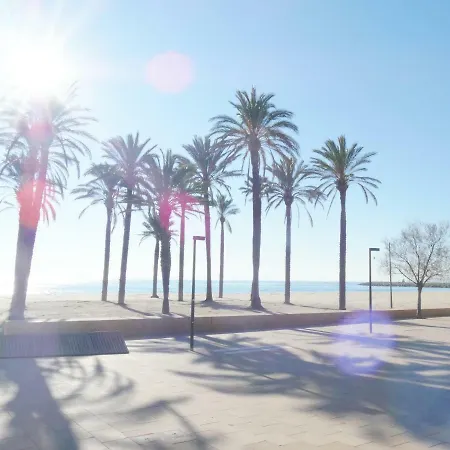 Con Vista Mar 5-8 * Ρόζες
